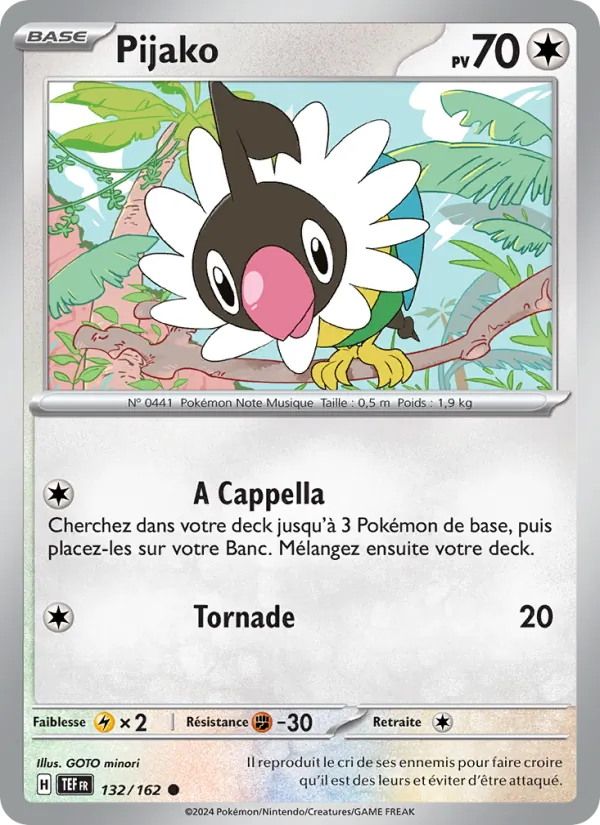 Pijako