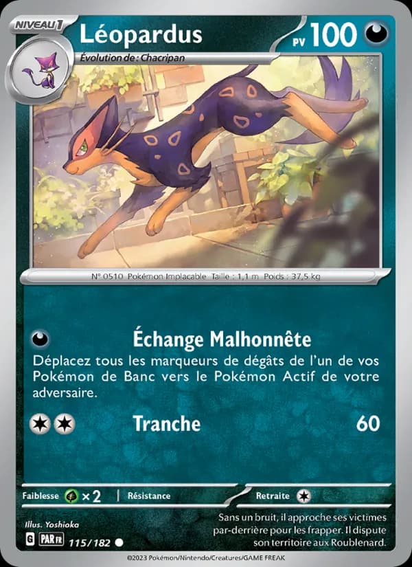 Léopardus