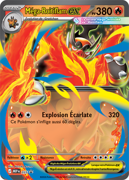Méga-Roitiflam-ex 035
