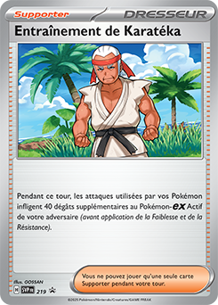 Entraînement de Karatéka 219