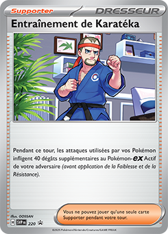 Entraînement de Karatéka 220