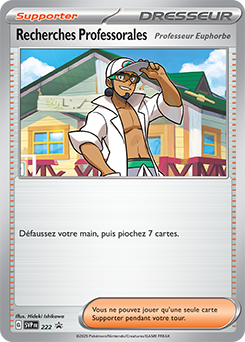 Recherches Professorales 222