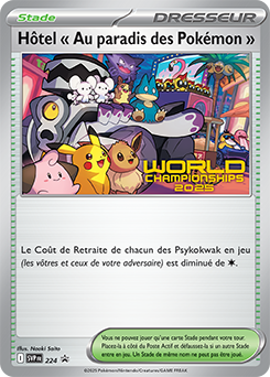 Hôtel « Au paradis des Pokémon » 224